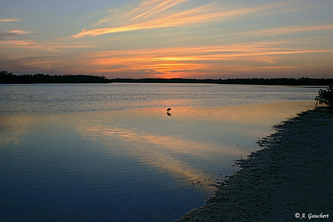 Sunset Reflection